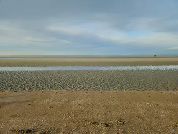 Oostnieuwkerke duinen wandeling in de koude (België)